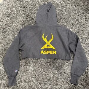 Champion Cropped Hoodie with Yellow Aspen Logo in Gray, Size S